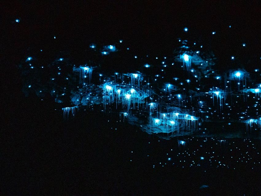 澄みきった夜空と星