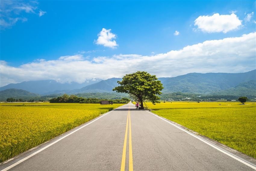 クラシック東部周遊|四季の花鑑賞~青山農場・ブラウン大通りサイクリング・アミ族文化体験・太平洋岸でアフタヌーンティー・ブルートレイン癒し列車3日間