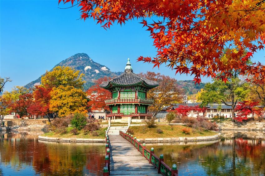韓国美学