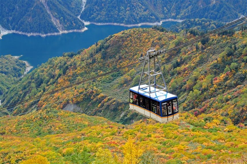 三零深度北陸全覧8日|紅葉に染まる立山黒部~上高地で軽ハイキング!黒部峡谷鉄道・小諸蒸留所・戸隠神社・善光寺・金箔体験・鰻&飛騨牛グルメ|犬山インディゴホテル宿泊