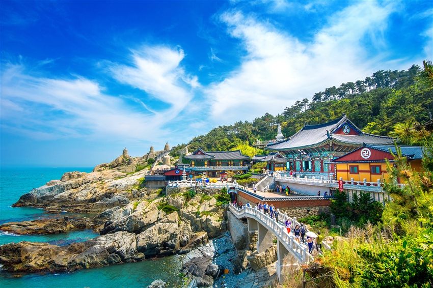 韓国深度全観|全州韓屋韓服・丹陽八景・宝城茶園・釜山海雲台・世界文化遺産8日間・美食100選・市内ホテル宿泊・リゾート