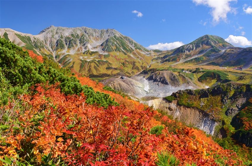 順道遊北陸｜秋戀立山黑部.百選溫泉.黑部峽谷小火車.上高地.合掌村.兼六園.飛驒高山5日
