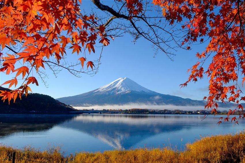 三零紅葉の東京|世界遺産日光・偕楽園・伊香保・軽井沢・箱根富士五湖・西湖里根場・三島大橋・関東五大温泉8日間