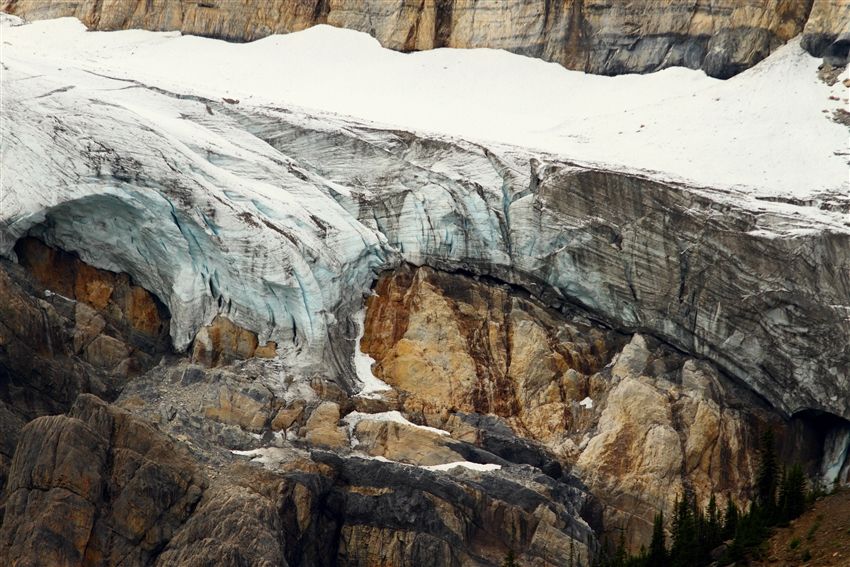 クロウフット氷河(Crowfoot Glacier)