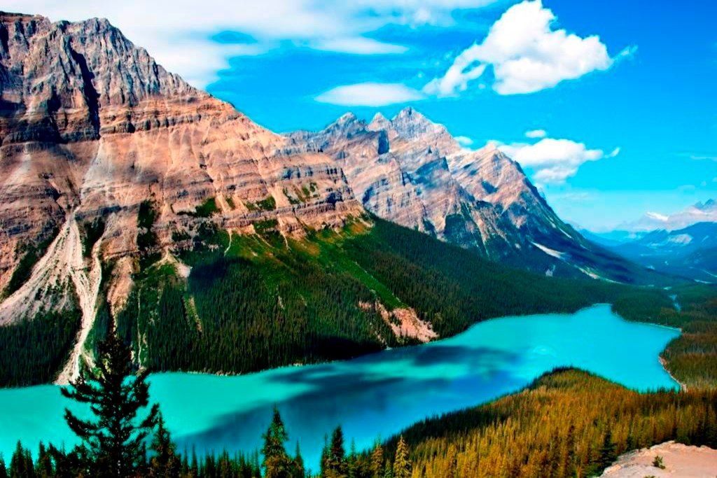 ペイト湖(Peyto Lake)